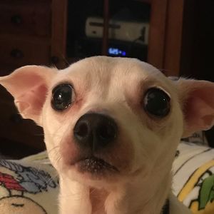 Meet your Posher, Dave